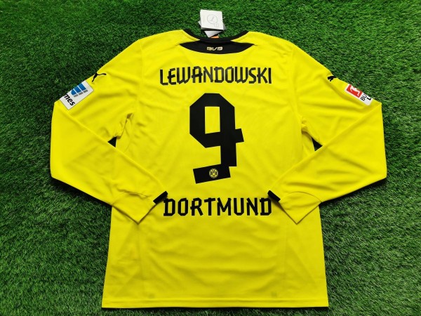 Borussia Dortmund 2013/14...